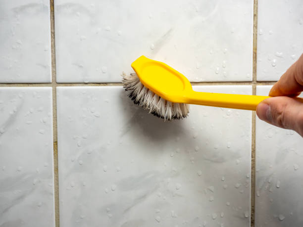 Best Black Mold Remediation in Paintsville, KY
